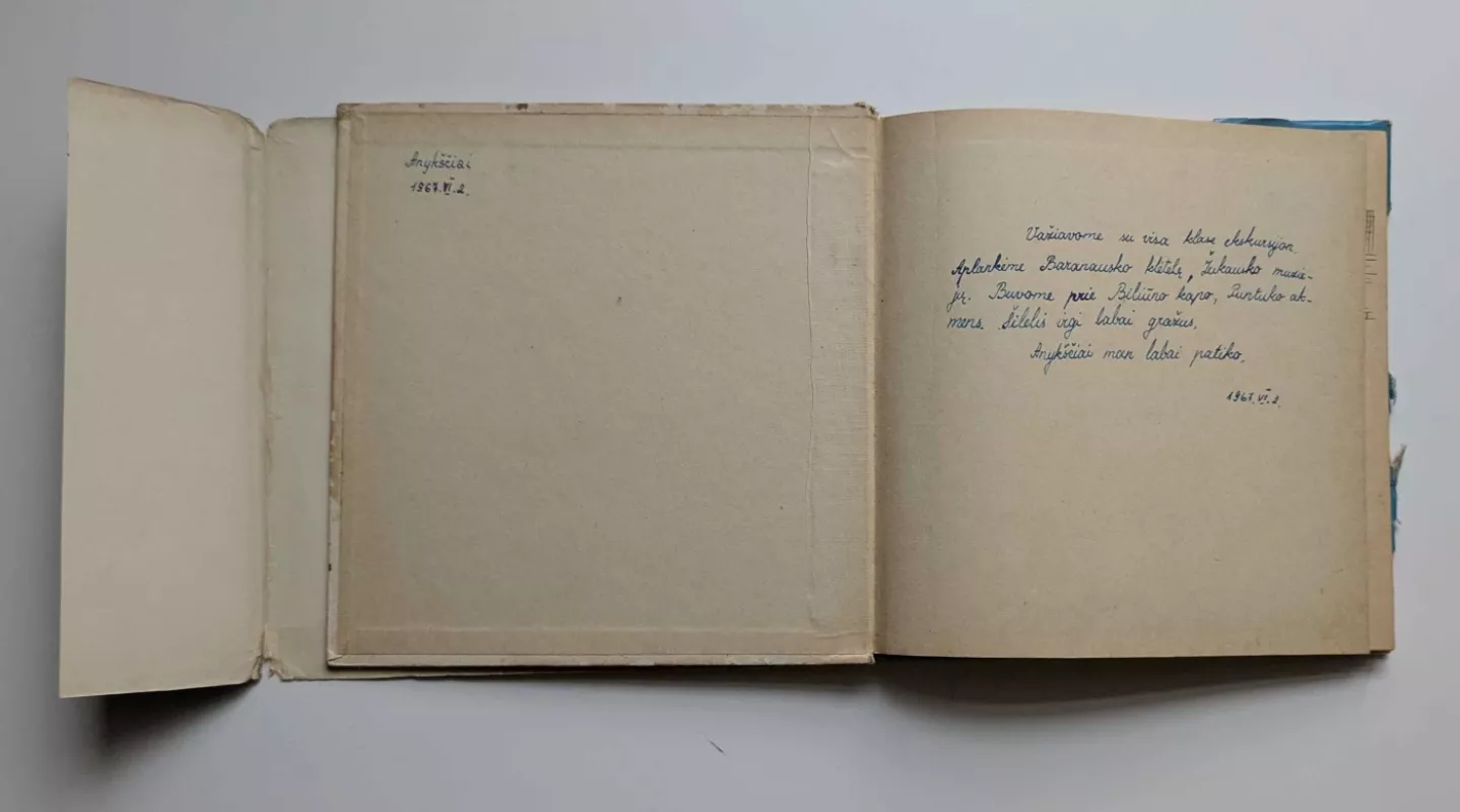 Skonis, stilius, mada - L. Barauskienė, knyga 4