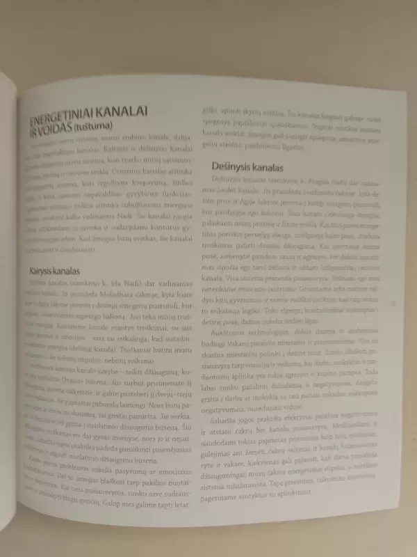 Sahadža joga pradžiamokslis - Autorių Kolektyvas, knyga 4