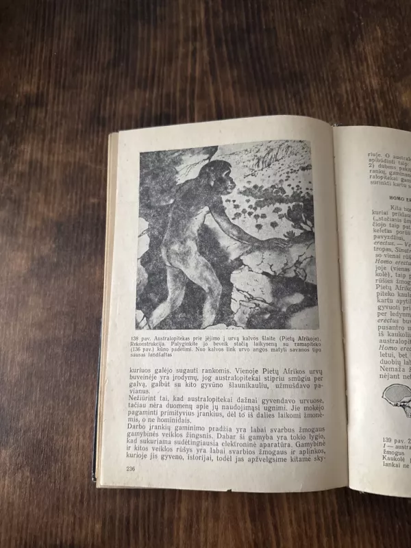 Žemės istorija - Ričardas Fosteris Flintas, knyga 6