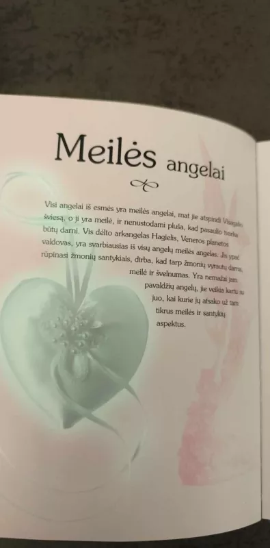 Angelų knyga - Francis Melville, knyga 4