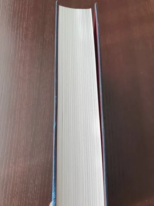 Lemtingi sprendimai. Antrasis pasaulinis karas Europoje - Robertas Petrauskas, knyga 5