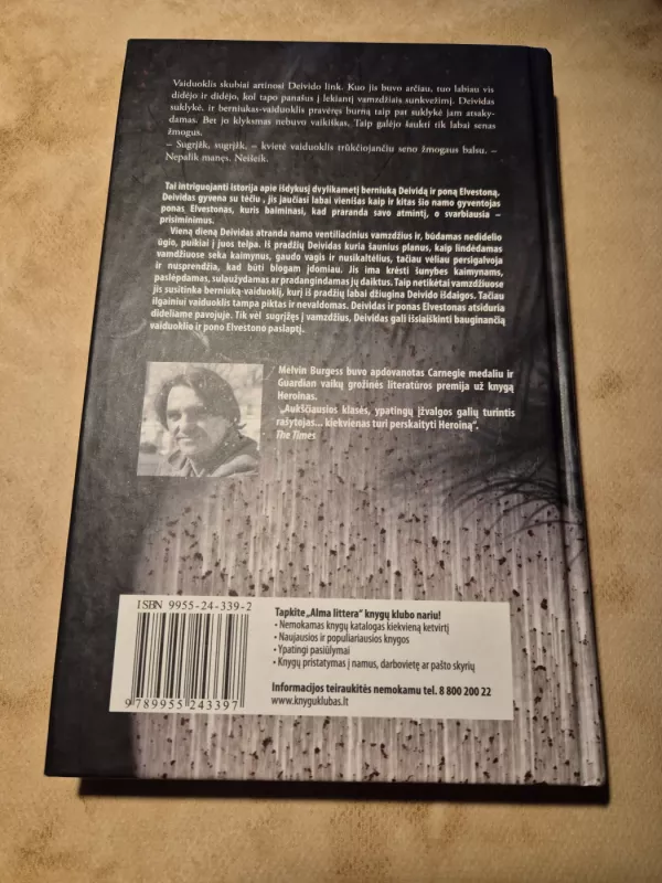 Vaiduoklis už sienos - Melvin Burgess, knyga 3