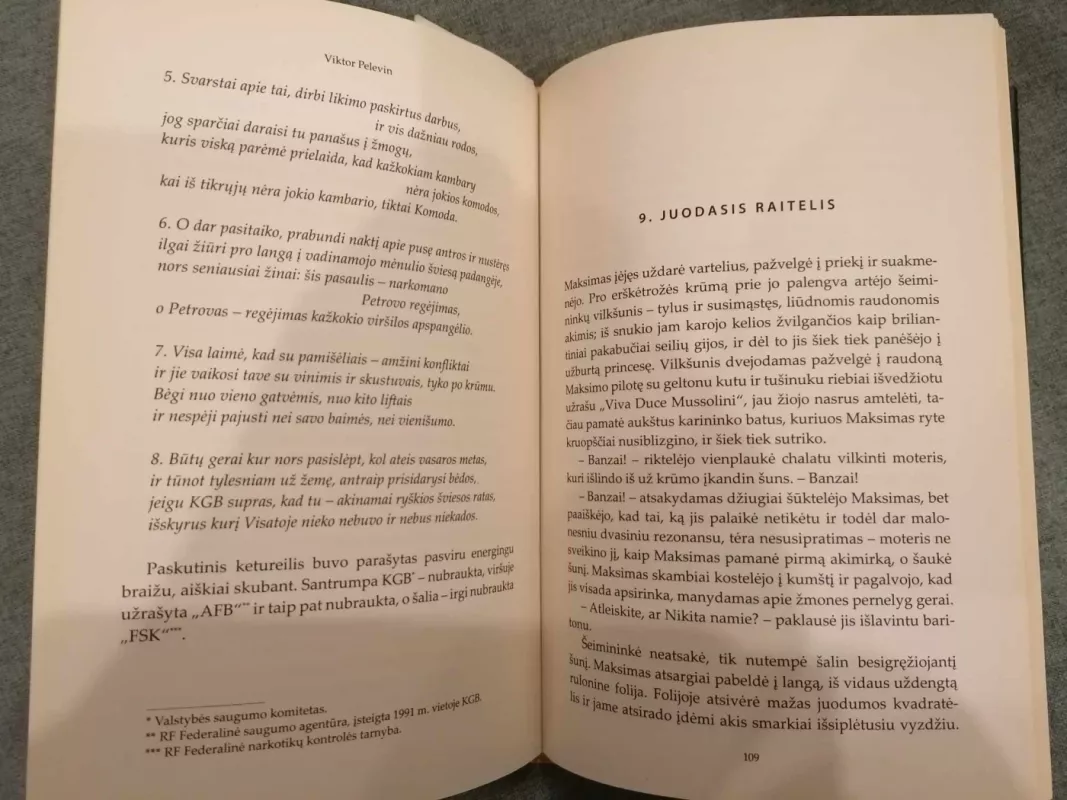 Vabzdžių gyvenimas - Viktor Pelevin, knyga 5