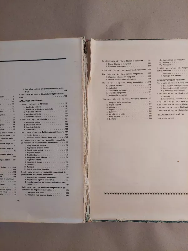 Mezgimas - K. Žirgulienė, knyga 6