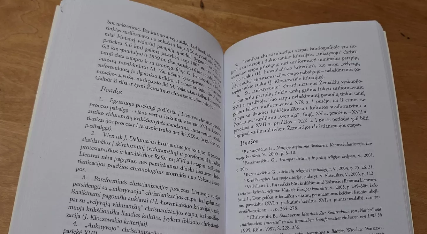 Tai, kas išlieka : senovės baltų kultūra - Elvyra Usačiovaitė, knyga 5