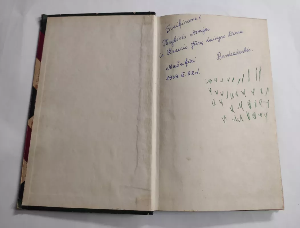 Pienių vynas - Bredberis Rėjus, knyga 3