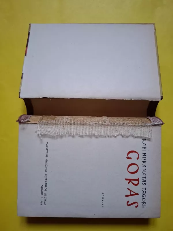 Goras - Rabindranatas Tagorė, knyga 3