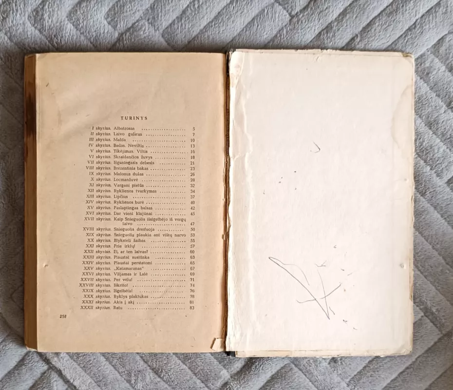 Vandenyno klajūnai - Tomas Main Ridas, knyga 6