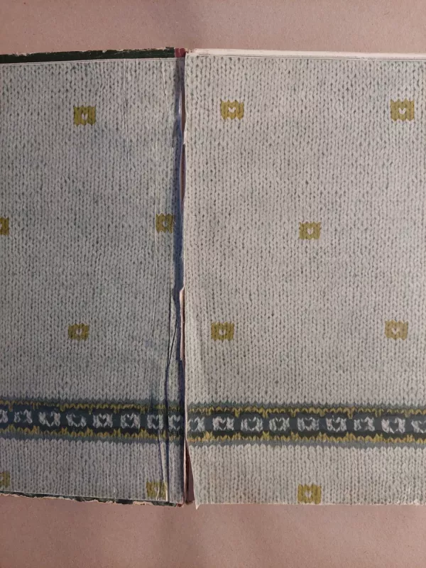 Mezgimas - K. Žirgulienė, knyga 3