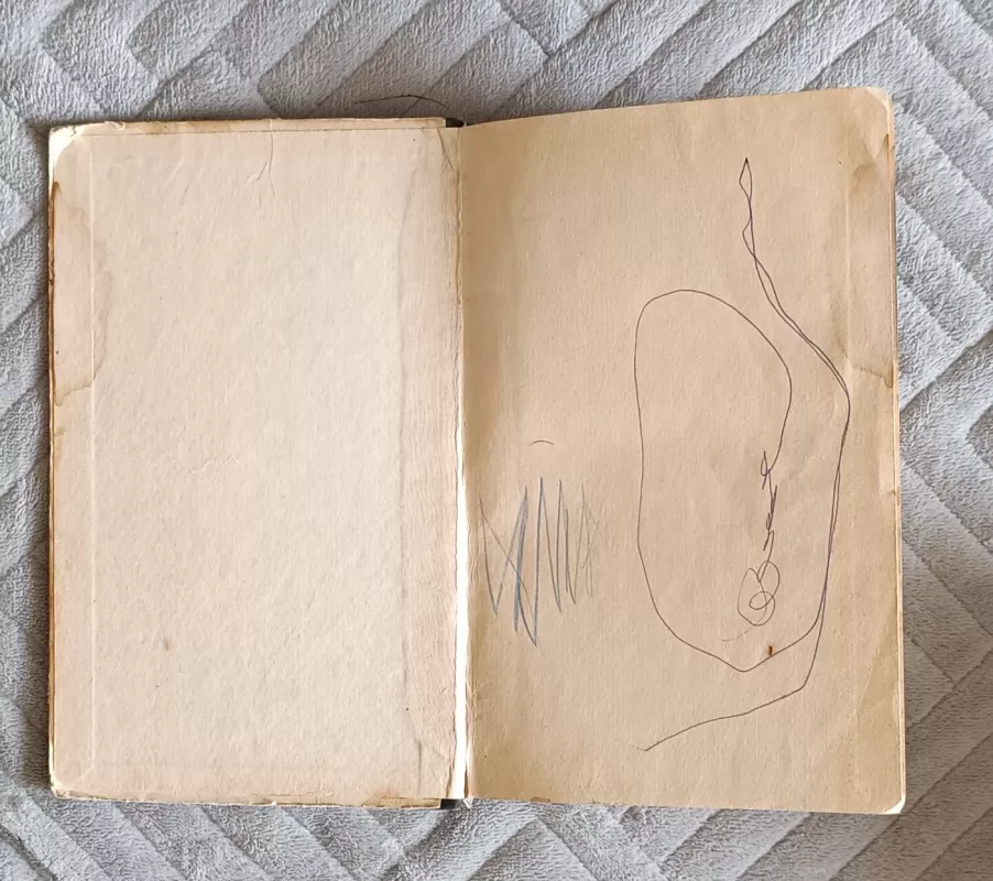 Vandenyno klajūnai - Tomas Main Ridas, knyga 4