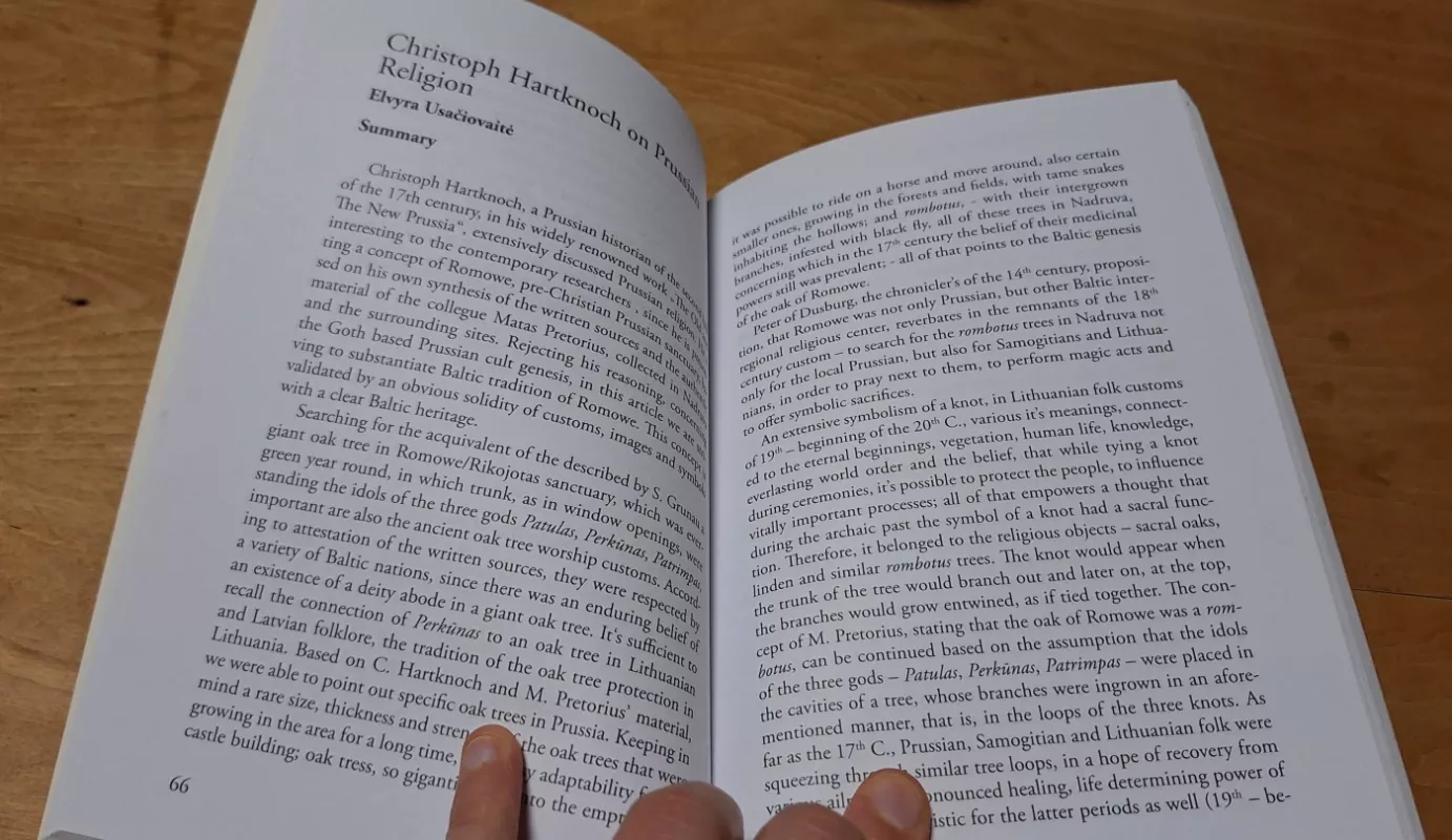 Tai, kas išlieka : senovės baltų kultūra - Elvyra Usačiovaitė, knyga 4