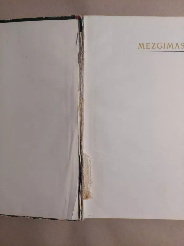 Mezgimas - K. Žirgulienė, knyga 4