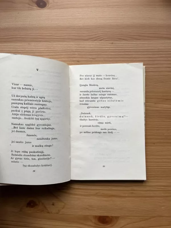 Saulės paunksmėj - Tatjana Rostovaitė, knyga 4