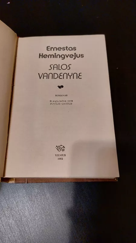 Salos vandenyne - Ernestas Hemingvėjus, knyga 3
