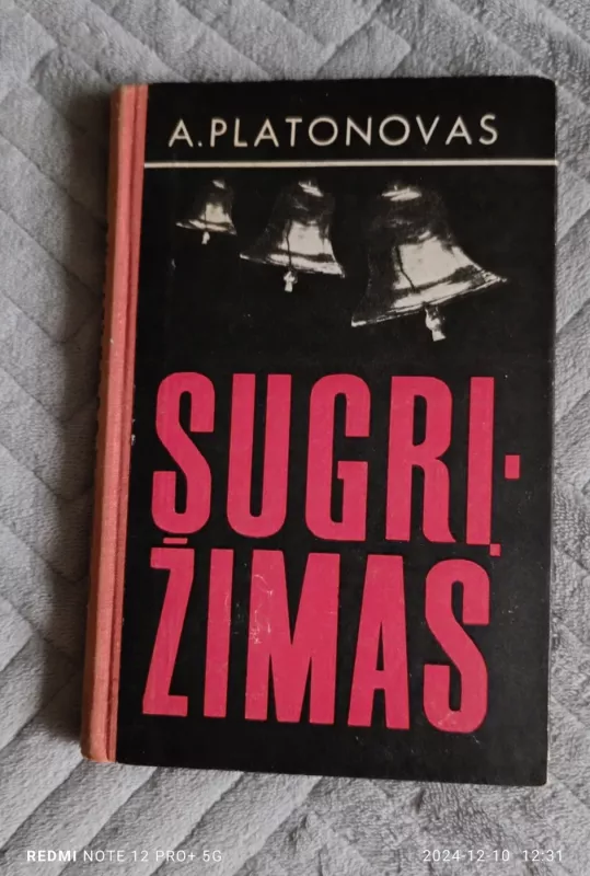 Sugrįžimas - A.Platonovas, knyga 2