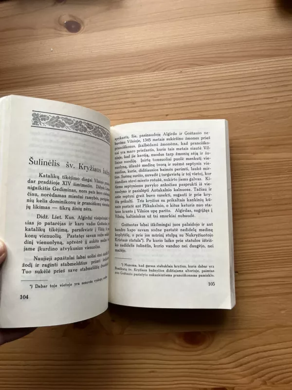 Vilniaus padavimai - P. Vingis, knyga 4