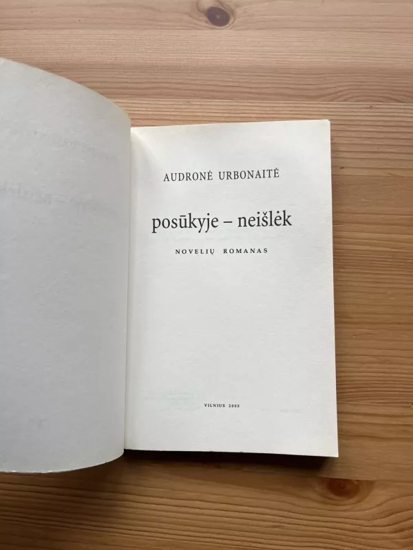 Posūkyje - neišlėk - Audronė Urbonaitė, knyga 3