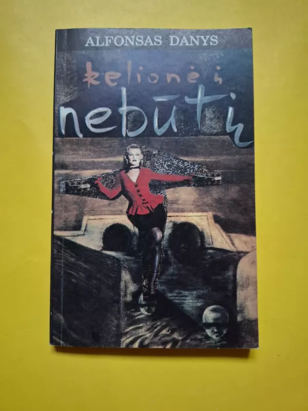 Kelionė į nebūtį - Alfonsas Danys, knyga 2