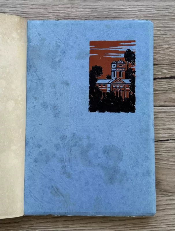 Po Vilniaus apylinkes - Vincas Uždavinys, knyga 3