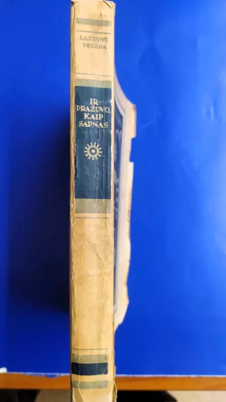 Ir pražuvo kaip sapnas - Pelėda Lazdynų, knyga 6