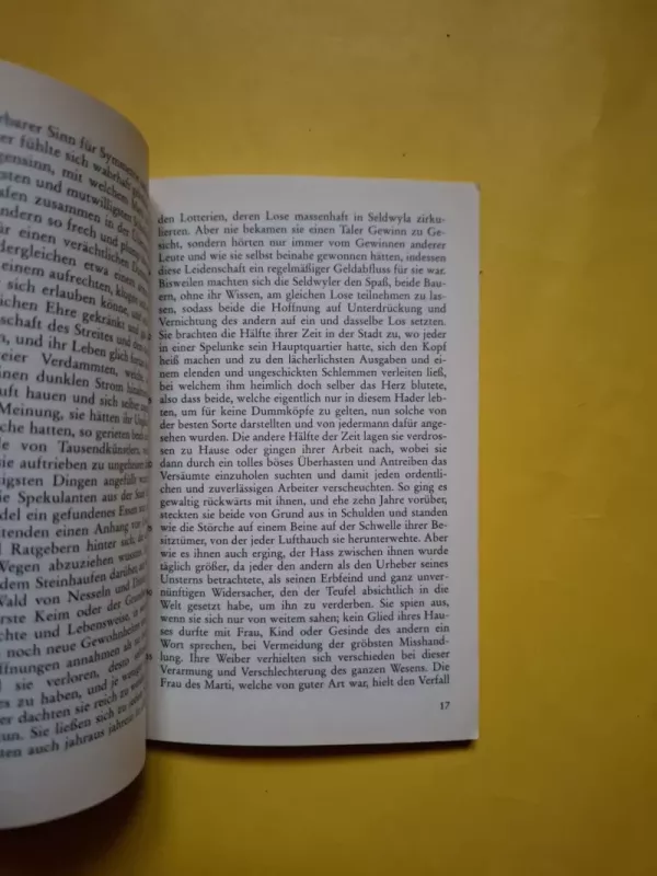 Romeo und Julia auf dem Dorfe - G. Keller, knyga 3