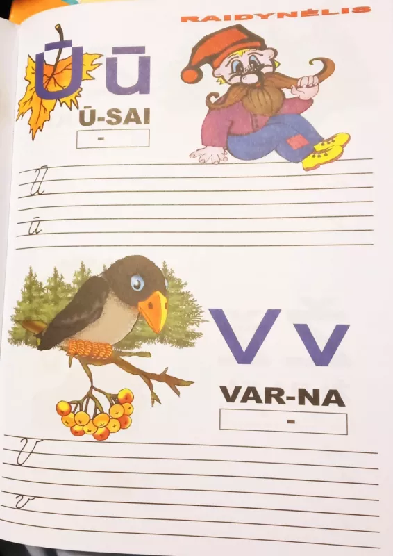 Raidynėlis - Autorių Kolektyvas, knyga 3