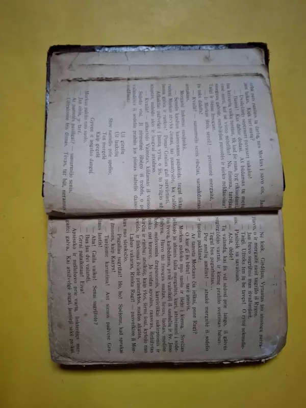 Dievaitis - M. Rodzevičaitė, knyga 5