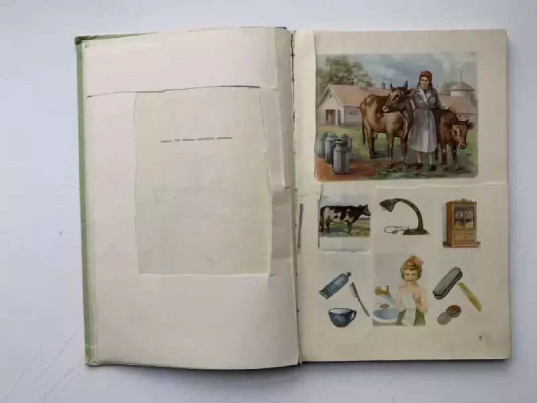 Bukvar Rusų kalbos elementorius - V. Čistiakovas, knyga 3