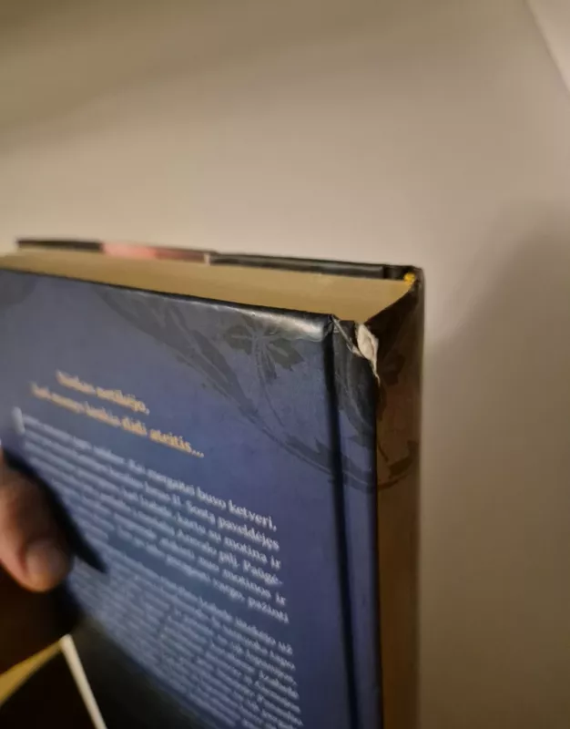 Valdovės įžadas - Gortner C.W., knyga 4