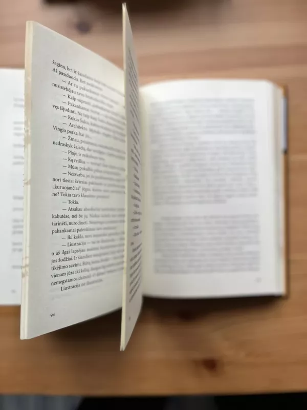 Įvykių horizontas - Juozas Šikšnelis, knyga 4