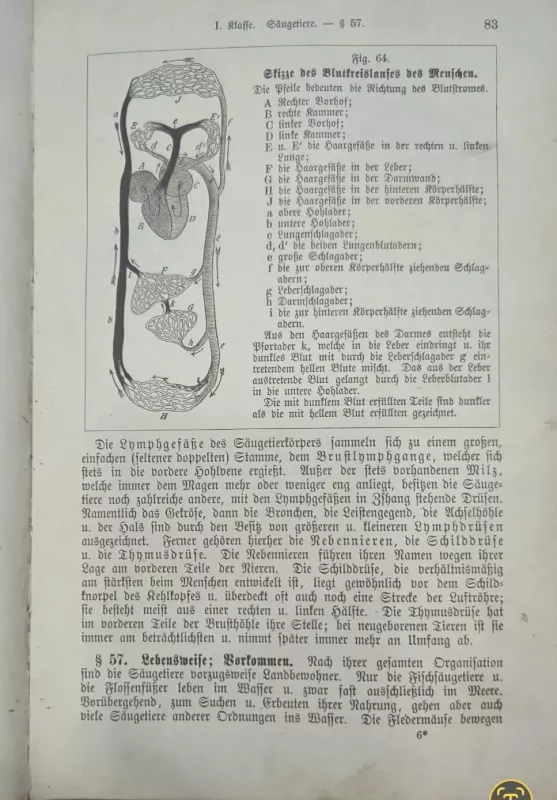 Biologijos vadovėlis - Subert Ludwig, knyga 5