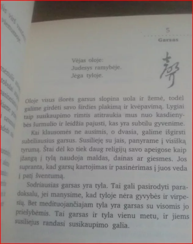 365 DAO Įžvalgos kasdienai - Deng Ming-Dao, knyga 4