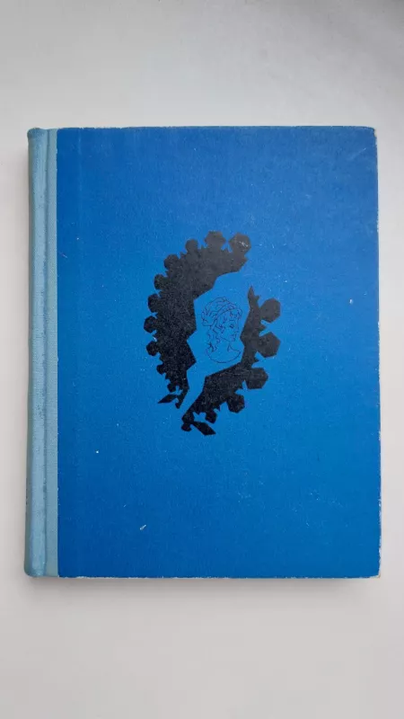 Baltas šešėlis - Vytautas Petkevičius, knyga 2