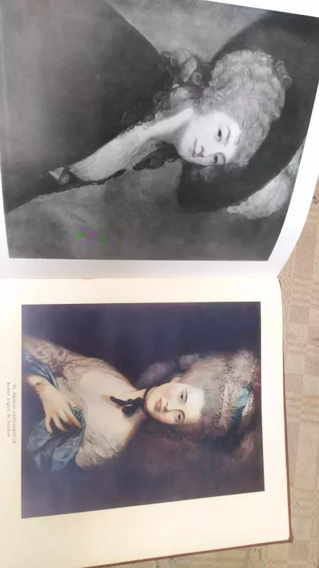 Ermitaž Panstwowy - autorių kolektuvas, knyga 5