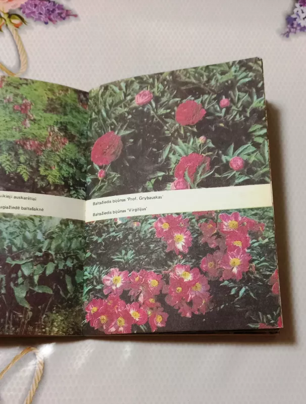 Daugiametės gėlės - A. Lučinskienė, knyga 3