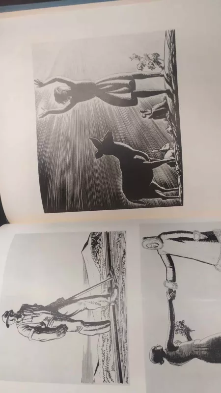 Rokuell Kent - Rokvel Kent, knyga 3