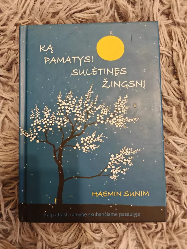 Ką pamatysi sulėtinęs žingsnį - Haemin Sunim, knyga 2