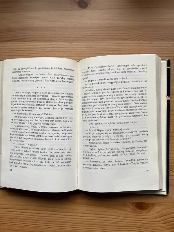 Laiptai į dangų - Mykolas Sluckis, knyga 4