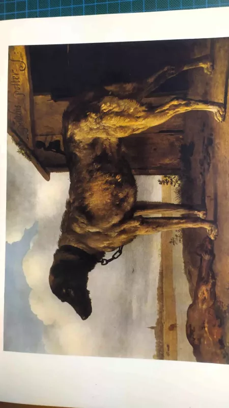 HOLANDSKE KRAJINARSTVI xvii STOLETII - JAROMIR ŠIP, knyga 6