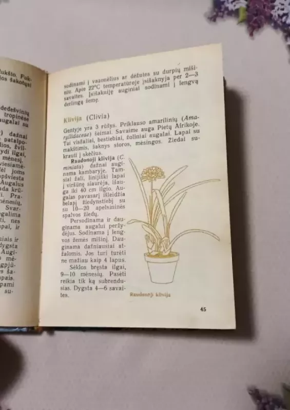 Jaunajam gėlininkui - J.Balvočiūtė, S.Gudanavičius, knyga 3