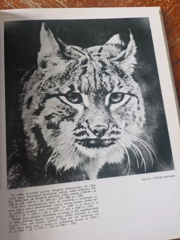 Medžioklė - Antanas Kazakauskas, knyga 5