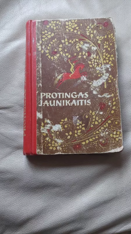 Protingas jaunikaitis. Turkmėnų liaudies pasakos - Autorių Kolektyvas, knyga 2