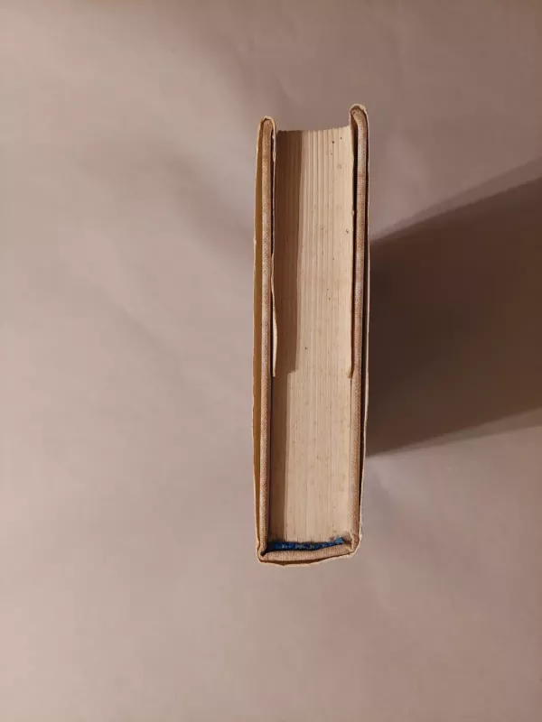 Prie vieno stalo - Kazys Bradūnas, knyga 3