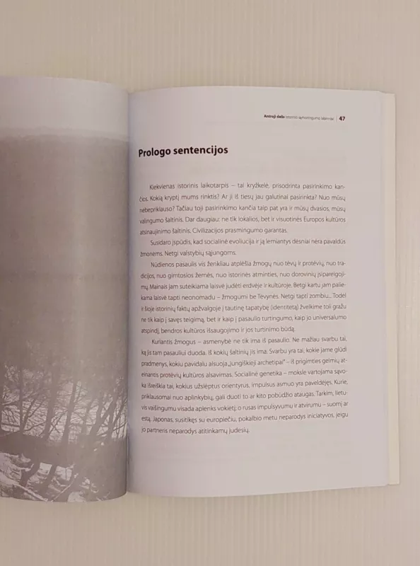 Lietuvių tapatybė ir Europa: istoriosofinis aspektas - Romualdas Grigas, knyga 6