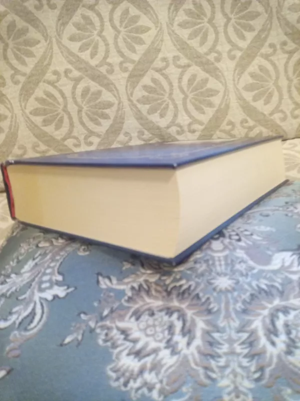 Šauniojo kareivio Šveiko nuotykiai - Jaroslavas Hašekas, knyga 3