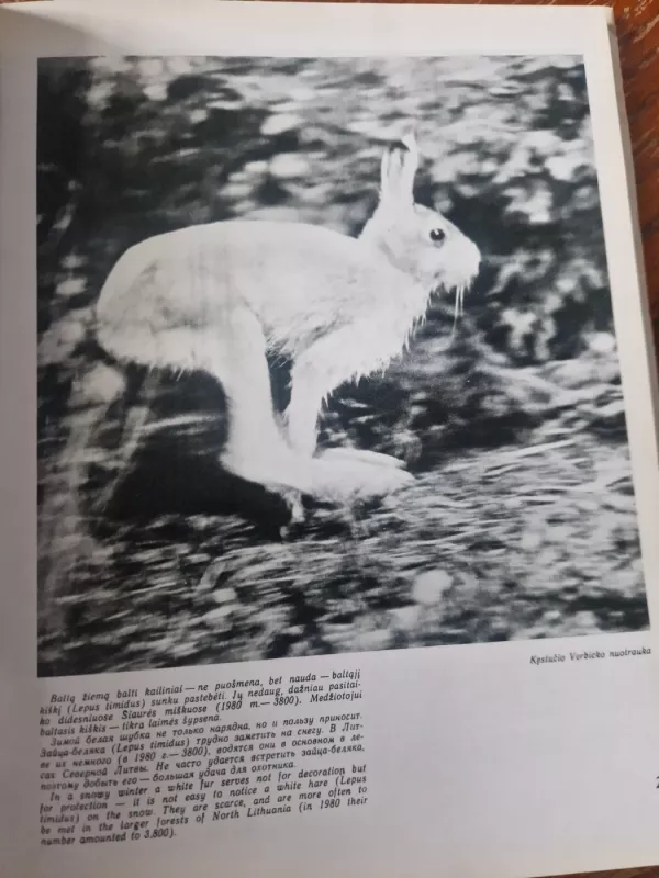 Medžioklė - Antanas Kazakauskas, knyga 6