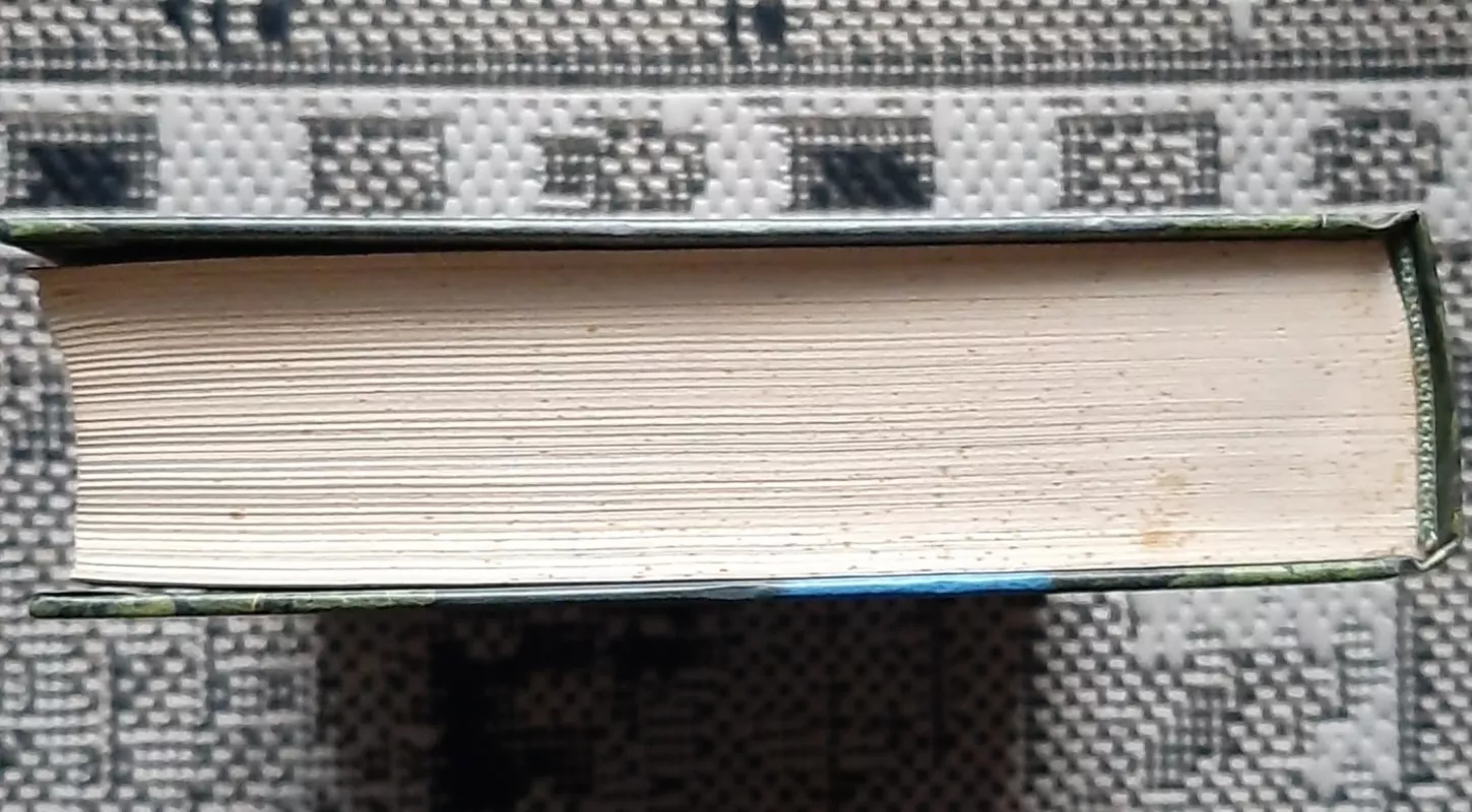 History of Lithuania - Juozas Erlickas, knyga 4