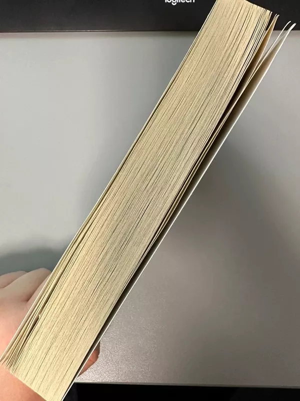 The Walking Dead: Rise of the Governor - Robert Kirkman, knyga 3