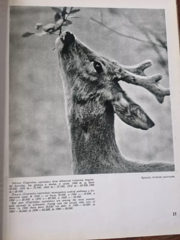 Medžioklė - Antanas Kazakauskas, knyga 4