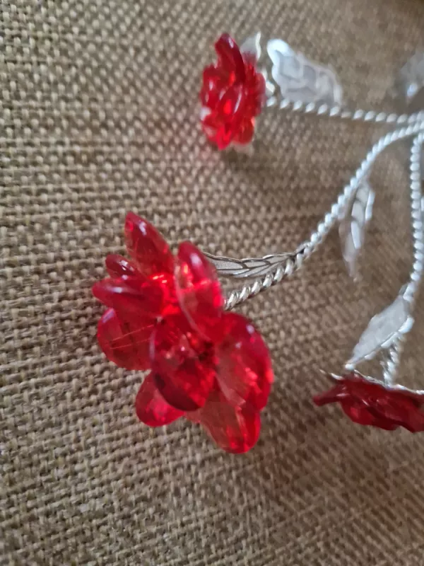 Raudonoji gėlelė - , namai ir interjeras 4